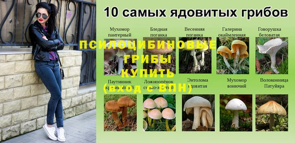 амф Магас