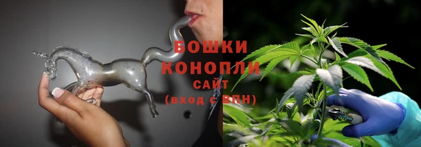 амф Магас