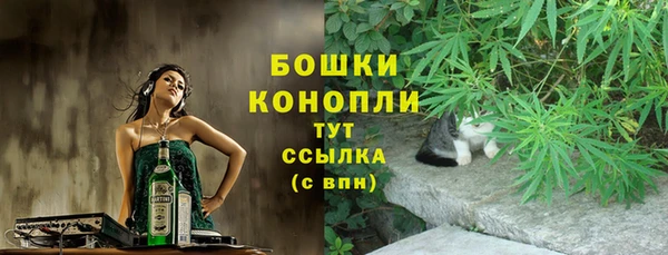 амф Магас