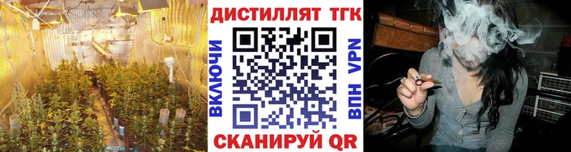 купить цена Николаевск ТГК жижа