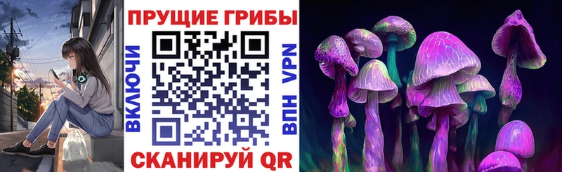 Псилоцибиновые грибы GOLDEN TEACHER Николаевск